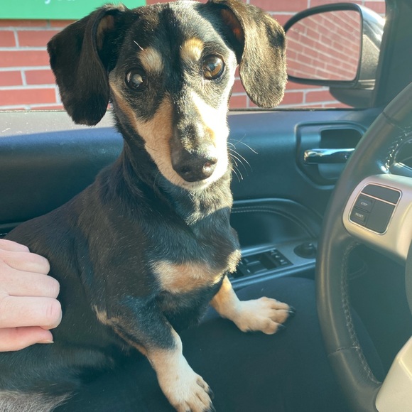 NOS - Picture 3 of 4